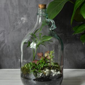 Oasis de Verre