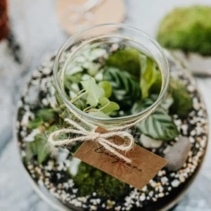 Verdure Enchantée